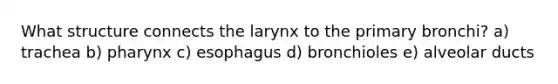 What structure connects the larynx to the primary bronchi? a) trachea b) pharynx c) esophagus d) bronchioles e) alveolar ducts