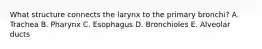 What structure connects the larynx to the primary bronchi? A. Trachea B. Pharynx C. Esophagus D. Bronchioles E. Alveolar ducts