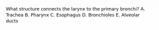 What structure connects the larynx to the primary bronchi? A. Trachea B. Pharynx C. Esophagus D. Bronchioles E. Alveolar ducts