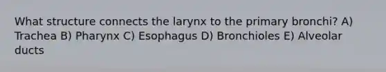 What structure connects the larynx to the primary bronchi? A) Trachea B) Pharynx C) Esophagus D) Bronchioles E) Alveolar ducts