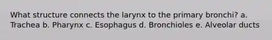 What structure connects the larynx to the primary bronchi? a. Trachea b. Pharynx c. Esophagus d. Bronchioles e. Alveolar ducts