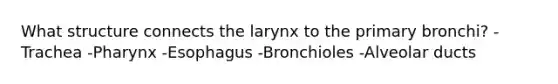 What structure connects the larynx to the primary bronchi? -Trachea -Pharynx -Esophagus -Bronchioles -Alveolar ducts