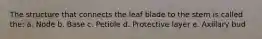 The structure that connects the leaf blade to the stem is called the: a. Node b. Base c. Petiole d. Protective layer e. Axillary bud