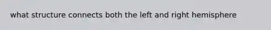 what structure connects both the left and right hemisphere