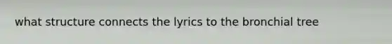 what structure connects the lyrics to the bronchial tree