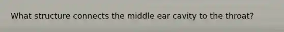 What structure connects the middle ear cavity to the throat?