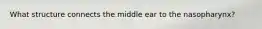 What structure connects the middle ear to the nasopharynx?