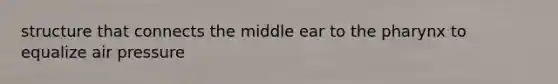 structure that connects the middle ear to the pharynx to equalize air pressure