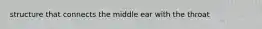 structure that connects the middle ear with the throat