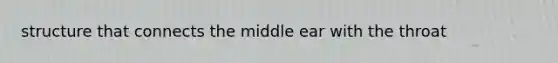 structure that connects the middle ear with the throat