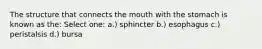 The structure that connects the mouth with the stomach is known as the: Select one: a.) sphincter b.) ​esophagus c.) peristalsis d.) ​bursa