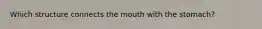 Which structure connects the mouth with the stomach?