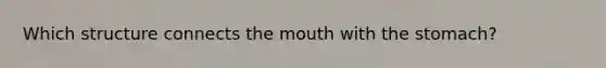 Which structure connects the mouth with the stomach?