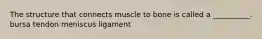 The structure that connects muscle to bone is called a __________. bursa tendon meniscus ligament