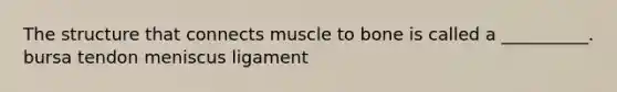 The structure that connects muscle to bone is called a __________. bursa tendon meniscus ligament