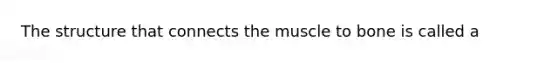 The structure that connects the muscle to bone is called a