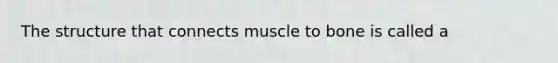 The structure that connects muscle to bone is called a