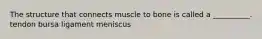 The structure that connects muscle to bone is called a __________. tendon bursa ligament meniscus