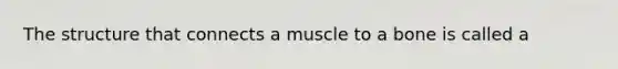 The structure that connects a muscle to a bone is called a