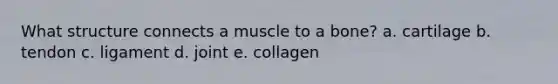 What structure connects a muscle to a bone? a. ​cartilage b. ​tendon c. ​ligament d. ​joint e. ​collagen