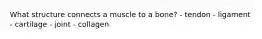 What structure connects a muscle to a bone? - tendon - ligament - cartilage - joint - ​collagen