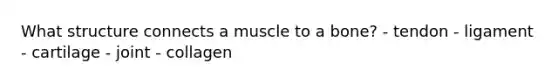 What structure connects a muscle to a bone? - tendon - ligament - cartilage - joint - ​collagen