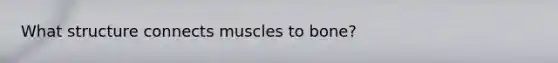 What structure connects muscles to bone?