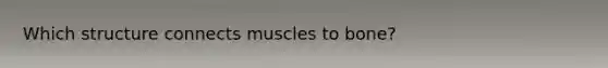 Which structure connects muscles to bone?