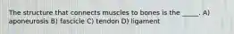 The structure that connects muscles to bones is the _____. A) aponeurosis B) fascicle C) tendon D) ligament