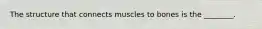 The structure that connects muscles to bones is the ________.