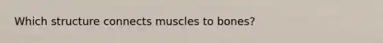 Which structure connects muscles to bones?