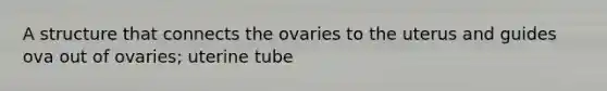 A structure that connects the ovaries to the uterus and guides ova out of ovaries; uterine tube