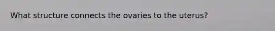 What structure connects the ovaries to the uterus?