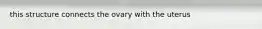 this structure connects the ovary with the uterus