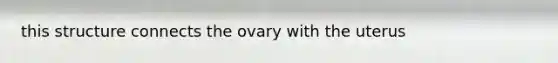 this structure connects the ovary with the uterus