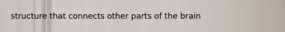 structure that connects other parts of the brain