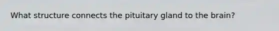 What structure connects the pituitary gland to the brain?