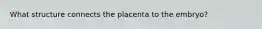 What structure connects the placenta to the embryo?