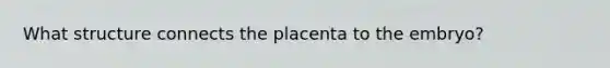 What structure connects the placenta to the embryo?