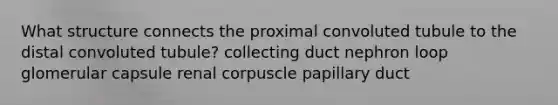 What structure connects the proximal convoluted tubule to the distal convoluted tubule? collecting duct nephron loop glomerular capsule renal corpuscle papillary duct