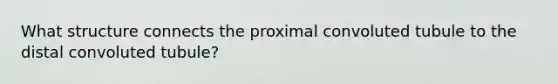 What structure connects the proximal convoluted tubule to the distal convoluted tubule?