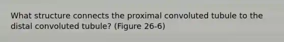 What structure connects the proximal convoluted tubule to the distal convoluted tubule? (Figure 26-6)