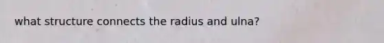 what structure connects the radius and ulna?