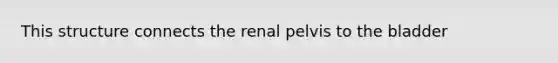 This structure connects the renal pelvis to the bladder