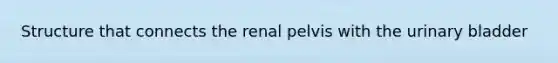 Structure that connects the renal pelvis with the <a href='https://www.questionai.com/knowledge/kb9SdfFdD9-urinary-bladder' class='anchor-knowledge'>urinary bladder</a>