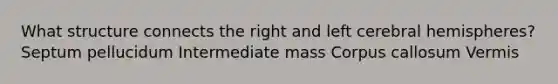What structure connects the right and left cerebral hemispheres? Septum pellucidum Intermediate mass Corpus callosum Vermis