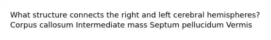 What structure connects the right and left cerebral hemispheres? Corpus callosum Intermediate mass Septum pellucidum Vermis