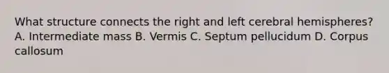 What structure connects the right and left cerebral hemispheres? A. Intermediate mass B. Vermis C. Septum pellucidum D. Corpus callosum