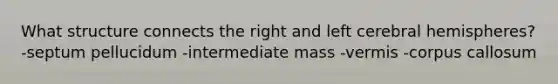 What structure connects the right and left cerebral hemispheres? -septum pellucidum -intermediate mass -vermis -corpus callosum