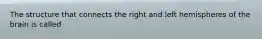 The structure that connects the right and left hemispheres of the brain is called